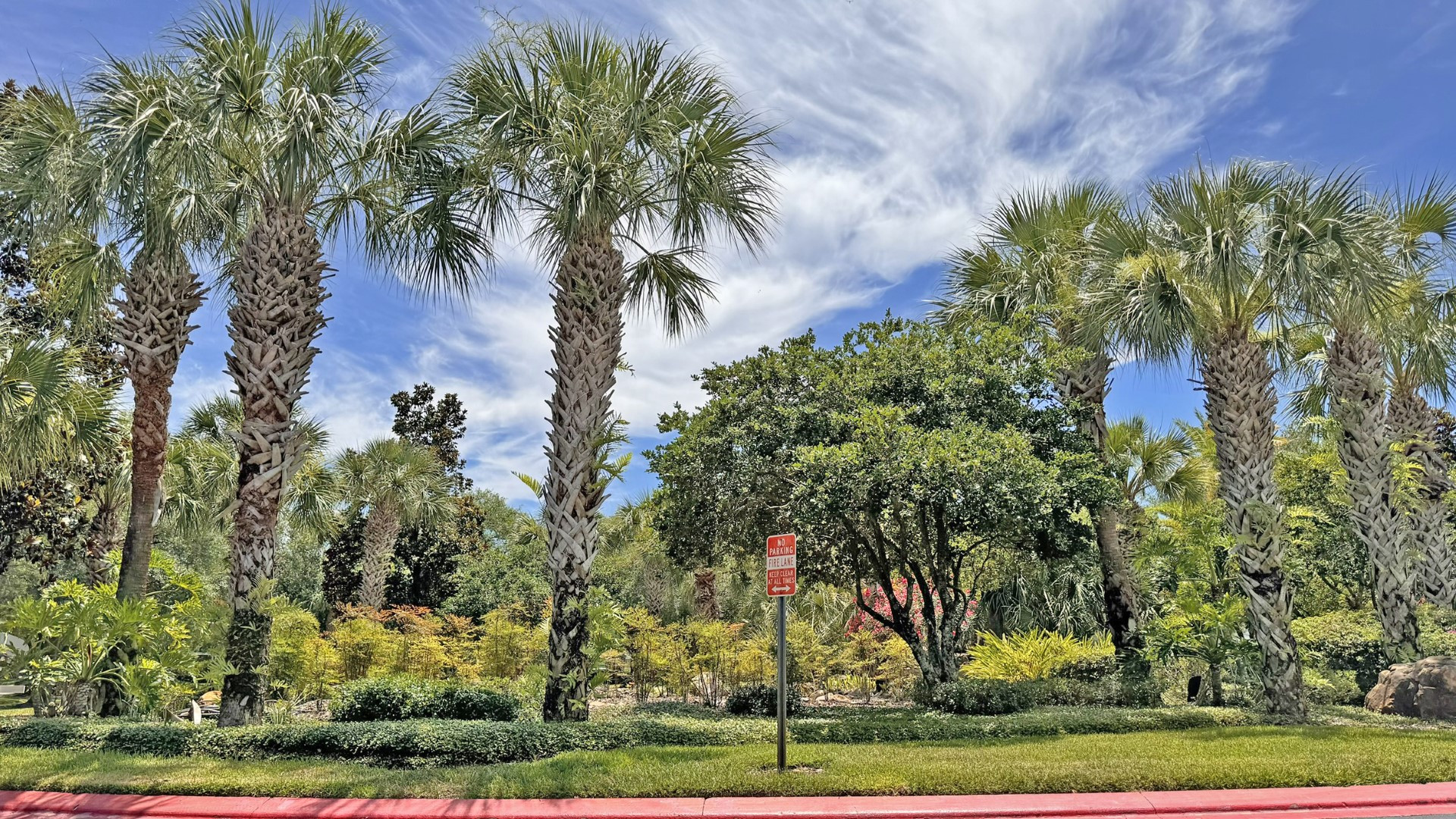 668ca3fd70472.jpg